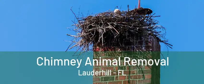 Chimney Animal Removal Lauderhill - FL