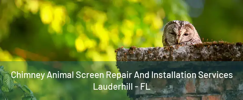 Chimney Animal Screen Repair And Installation Services Lauderhill - FL