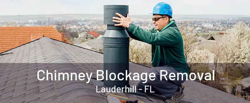 Chimney Blockage Removal Lauderhill - FL