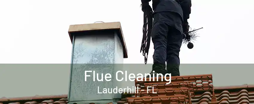 Flue Cleaning Lauderhill - FL